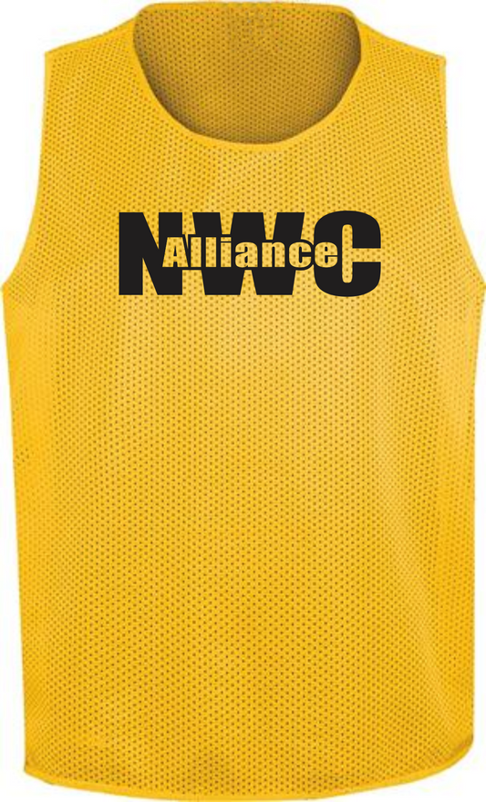 Mesh Practice Jersey