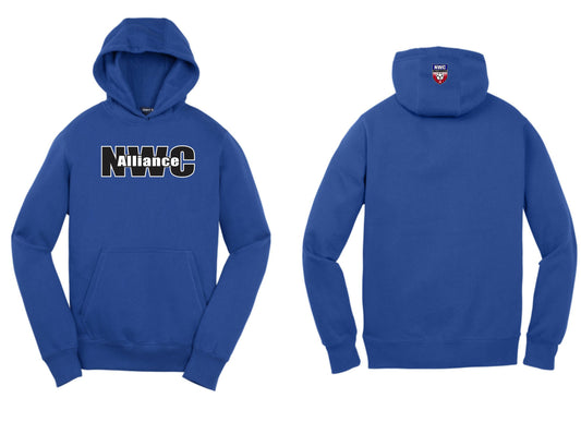 Youth Hooded Sweatshirt
